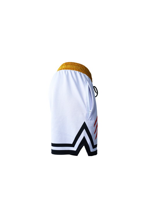 THD Bruce Lee Alternate Shorts