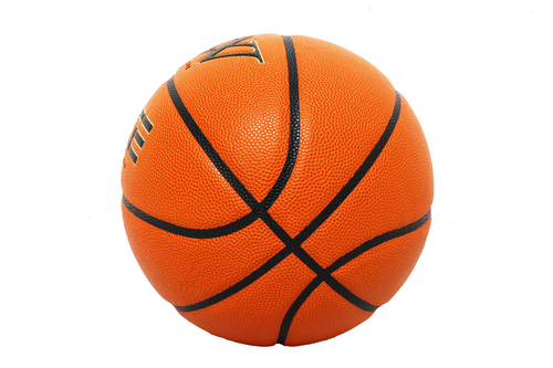 WVO Edge Performance Indoor Basketball